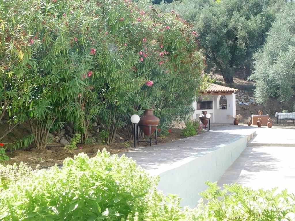 Villa Maro Skopelos Town Exterior photo