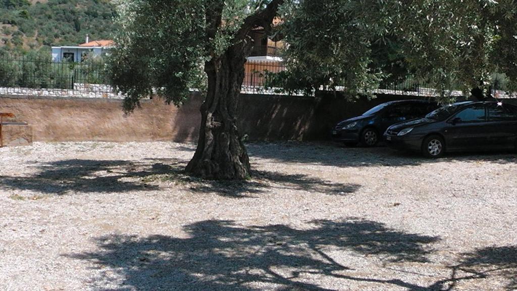 Villa Maro Skopelos Town Exterior photo